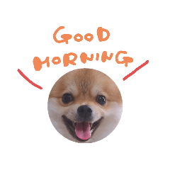 [LINEスタンプ] パックと仲間たち