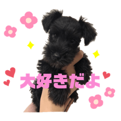 [LINEスタンプ] 飯村家三銃士