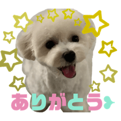 [LINEスタンプ] もな＆あむ stamp