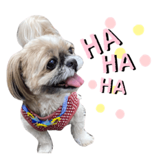 [LINEスタンプ] キャンディちゃんだよ