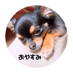 [LINEスタンプ] テン10