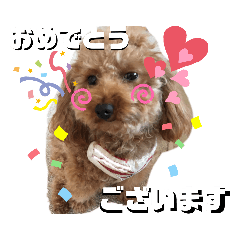 [LINEスタンプ] ころちび