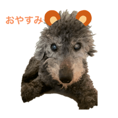 [LINEスタンプ] AKABEKO_20210529214535