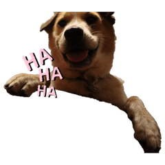 [LINEスタンプ] taiyuuu！！！2