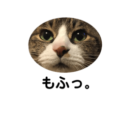 [LINEスタンプ] 我が家のレモンスタンプ2