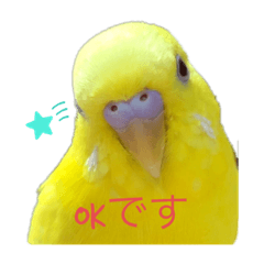 [LINEスタンプ] 喜久蔵と申します。