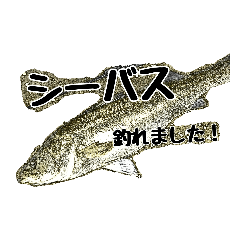 [LINEスタンプ] 海のお魚スタンプ(J)