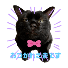 [LINEスタンプ] くろさんちびさんチョロさんココさん