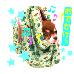 [LINEスタンプ] チョコちゃんスタンプ♡*(ごきげん編)