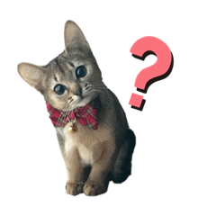 [LINEスタンプ] チエル