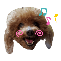 [LINEスタンプ] ANIMALzuu