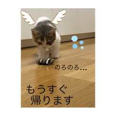 [LINEスタンプ] あおとちゃ〜としゅっちゃん