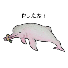 [LINEスタンプ] whale friends(日本語ver)