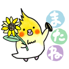 [LINEスタンプ] インコのゆーちゃんスタンプ