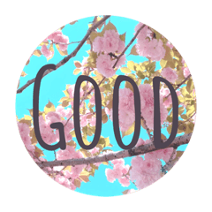[LINEスタンプ] ねことお花