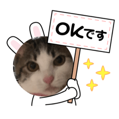 [LINEスタンプ] 桜夢のスタンプ1