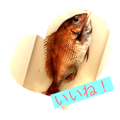 [LINEスタンプ] 魚三昧ver6
