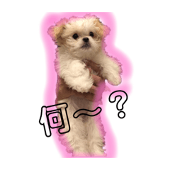 [LINEスタンプ] 寂しがり屋ももちゃん3