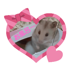 [LINEスタンプ] 動物たちのスタンプ Ver．2
