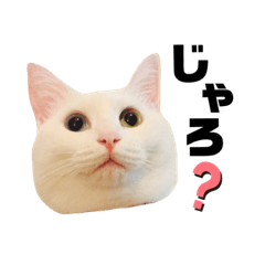 [LINEスタンプ] 岡山弁のひやむぎ