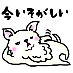 [LINEスタンプ] 目つきの悪いチワワのだいふく