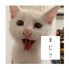 [LINEスタンプ] オバラ家