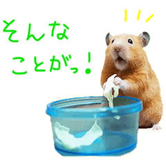 [LINEスタンプ] ハムスター 日常 5