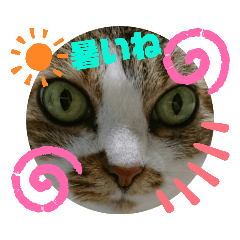 [LINEスタンプ] ナナエモン④夏っぽい