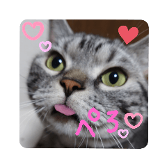 [LINEスタンプ] おもちのすたんぷ1