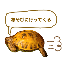 [LINEスタンプ] まるみやスタンプ①