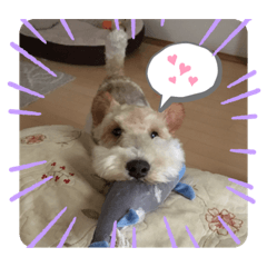 [LINEスタンプ] ワイヤーフォックステリアのレオ