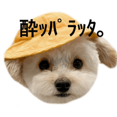 [LINEスタンプ] ころも日記 #飲み編
