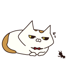 [LINEスタンプ] めつきのわるいねこさんすたんぷ