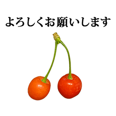 [LINEスタンプ] 美味しい さくらんぼ と 敬語