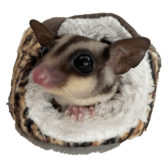 [LINEスタンプ] ディアナとペット達