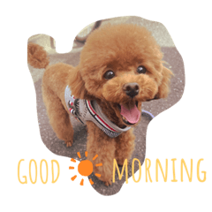 [LINEスタンプ] Tina＆Roy dog brothers