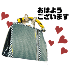 [LINEスタンプ] KUNIYAスタンプ2