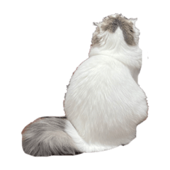 [LINEスタンプ] mia様
