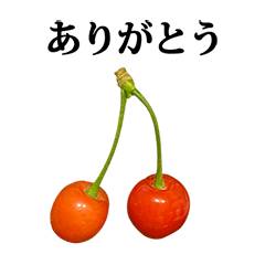 [LINEスタンプ] 美味しい さくらんぼ と 文字