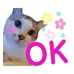[LINEスタンプ] こたてつ②