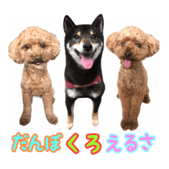 [LINEスタンプ] だんぼ＆くろ＆えるさ