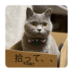 [LINEスタンプ] るいぴっぴ01