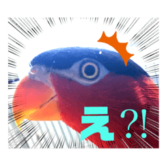 [LINEスタンプ] ズグロな乙女スタンプ