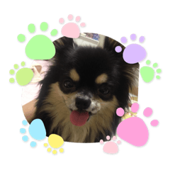 [LINEスタンプ] ランココすたんぷ