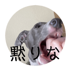 [LINEスタンプ] テオwithまぐろ