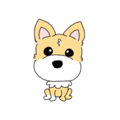 [LINEスタンプ] くつした犬のココ