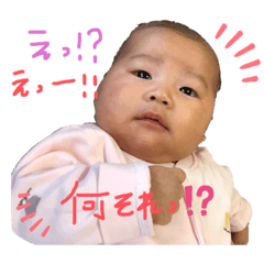 [LINEスタンプ] あおちゃん@1