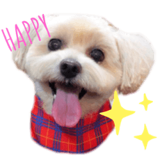 [LINEスタンプ] らんレオ