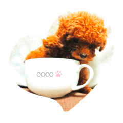 [LINEスタンプ] 愛犬ココちゃんスタンプ♡