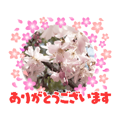 [LINEスタンプ] 季節のお知らせに参りました